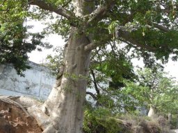 263103_10150256141114901_6256809_n